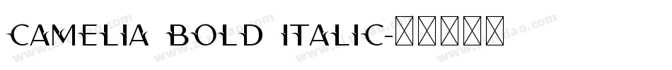 Camelia Bold Italic字体转换